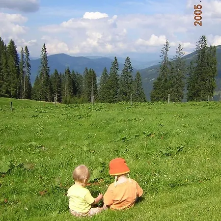 Steinbachgut Flachau