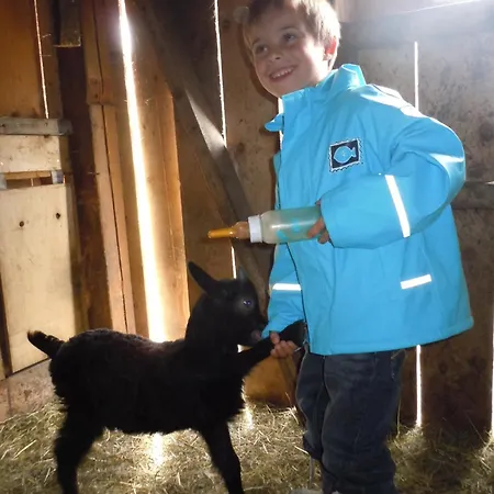 Gospodarstwo agroturystyczne Steinbachgut *