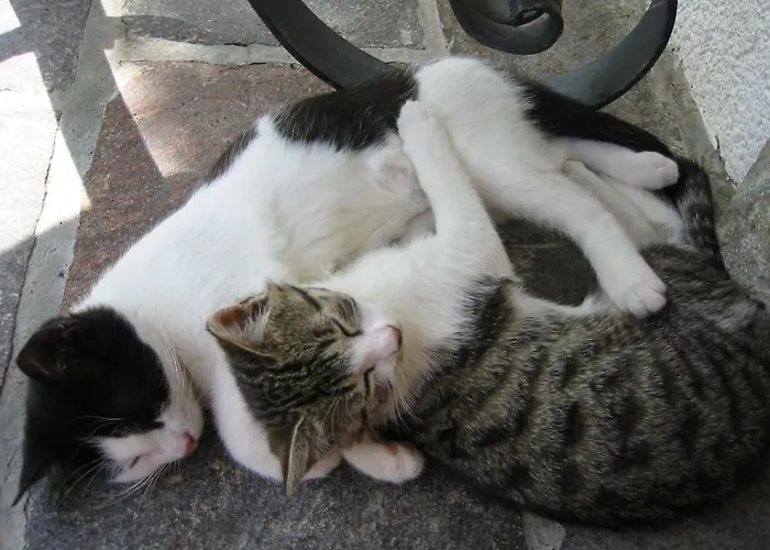 مزرعة للإقامة Steinbachgut *